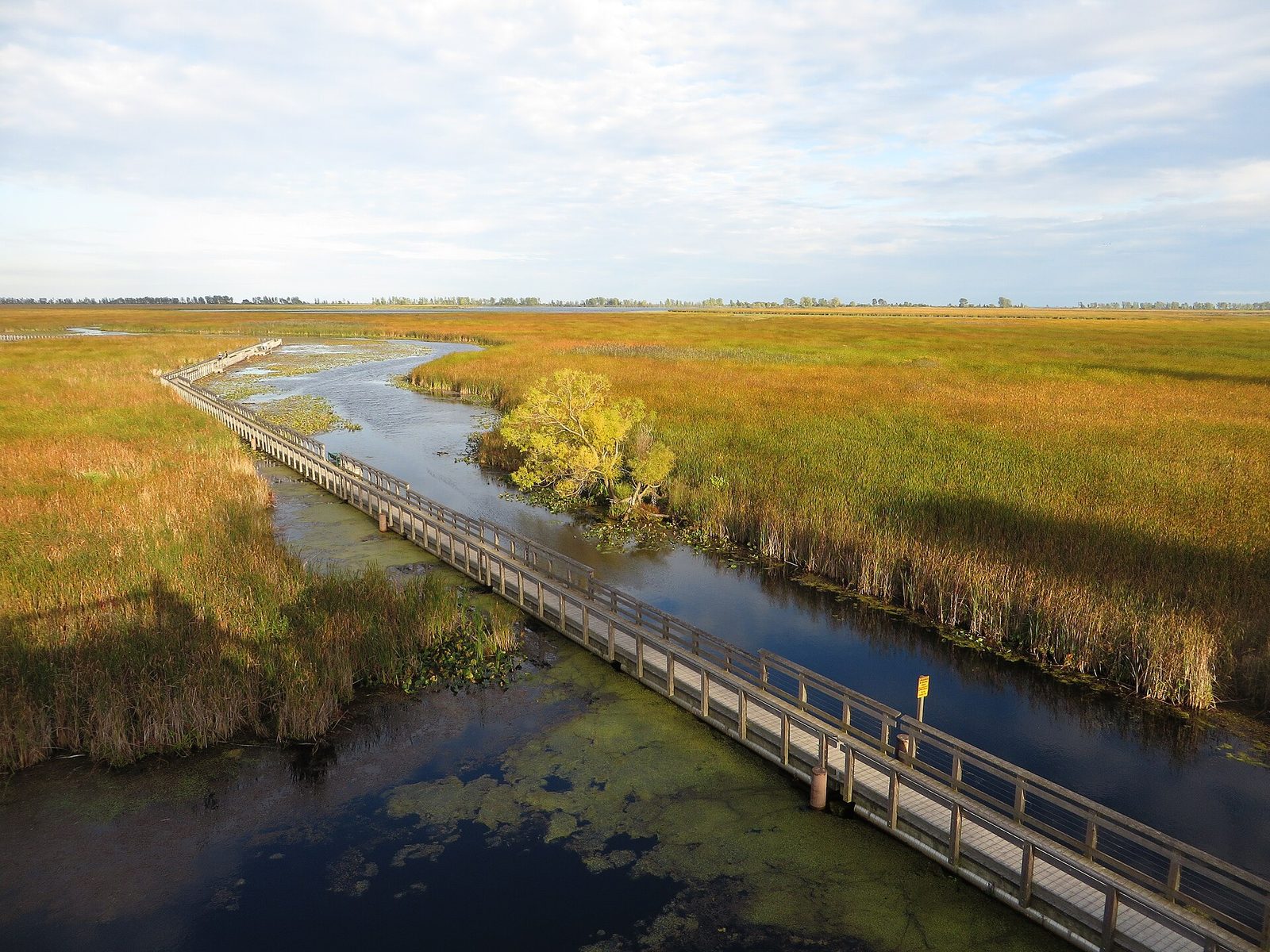 Marsh Boardwalk