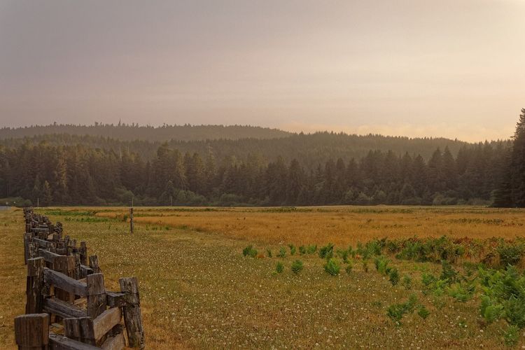 Elk Prairie