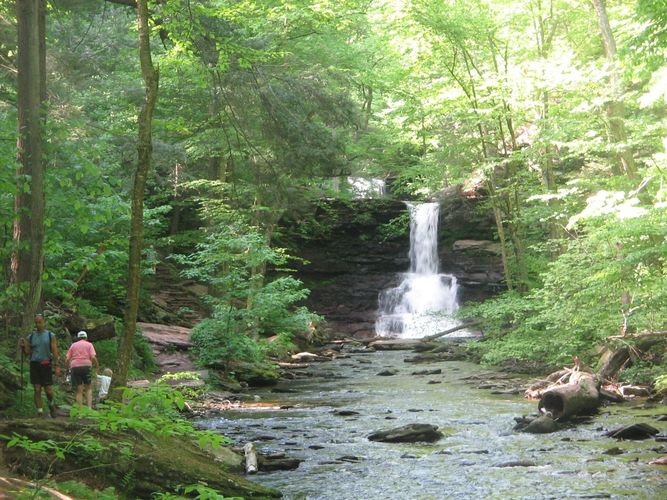 Sheldon Reynolds Falls