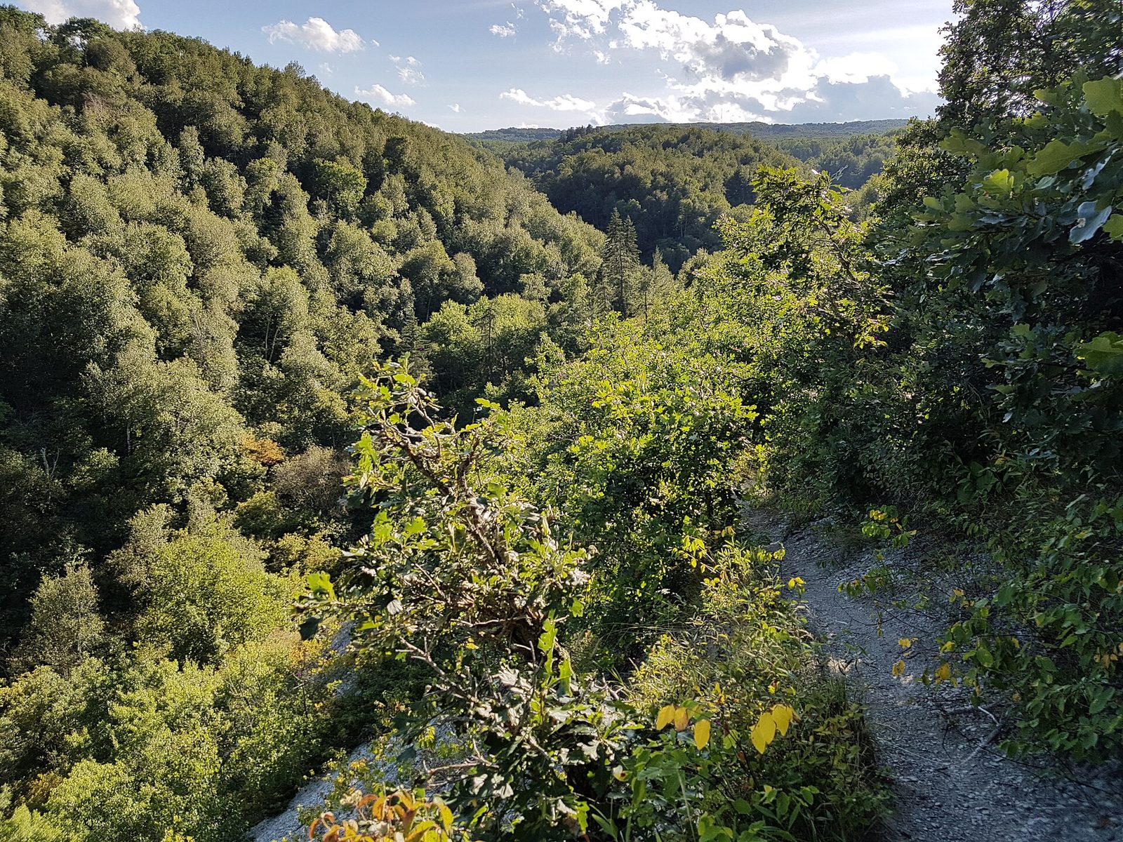 Gorge Creek Trail