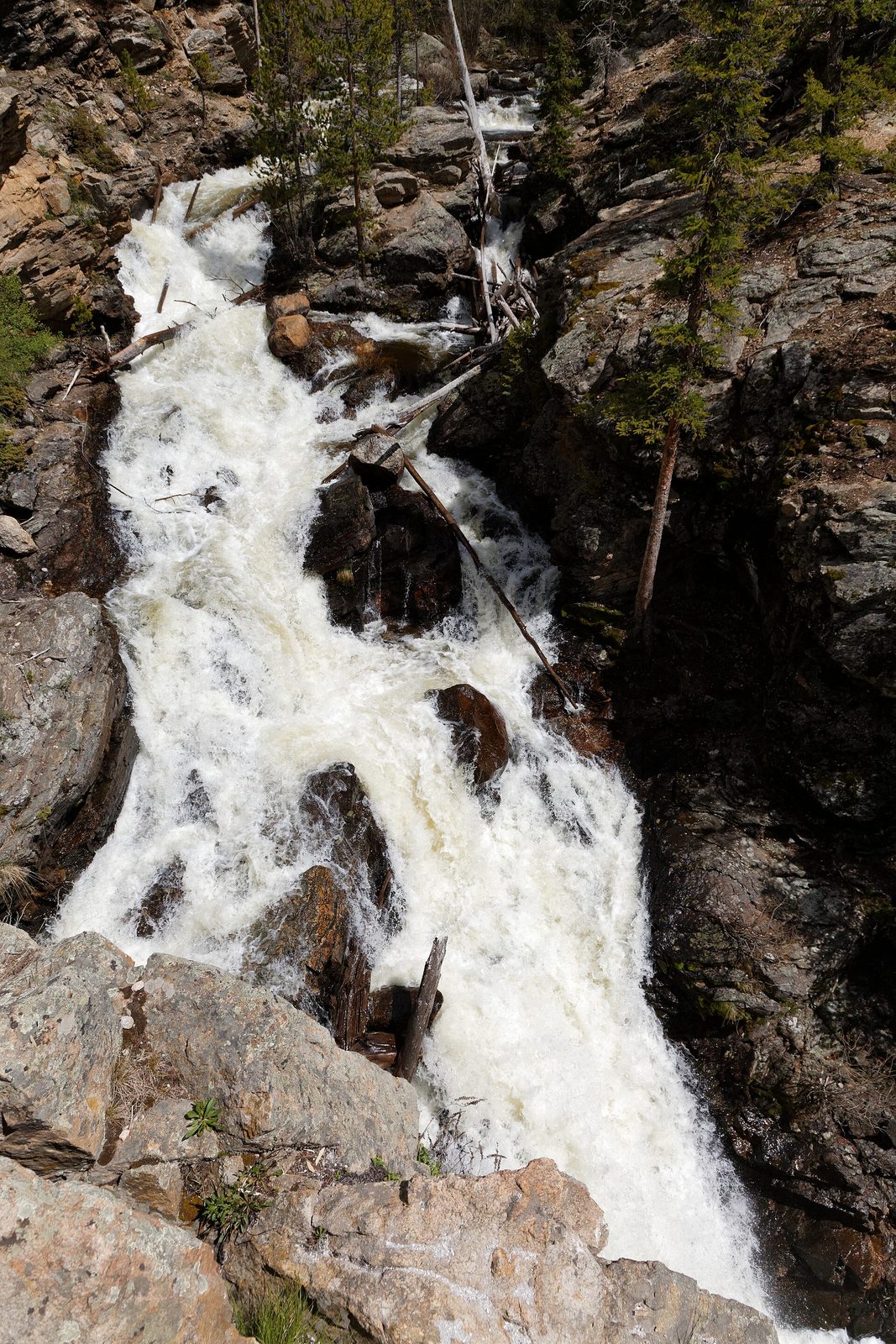 Adams Falls