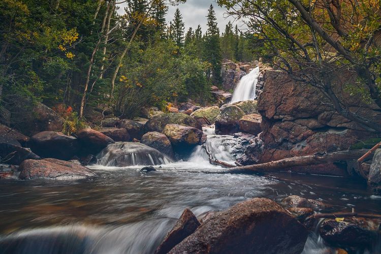 Alberta Falls