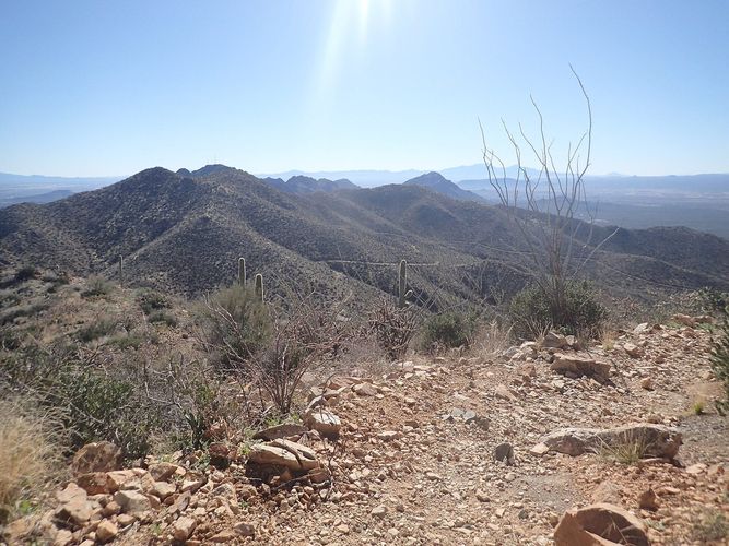 Wasson Peak