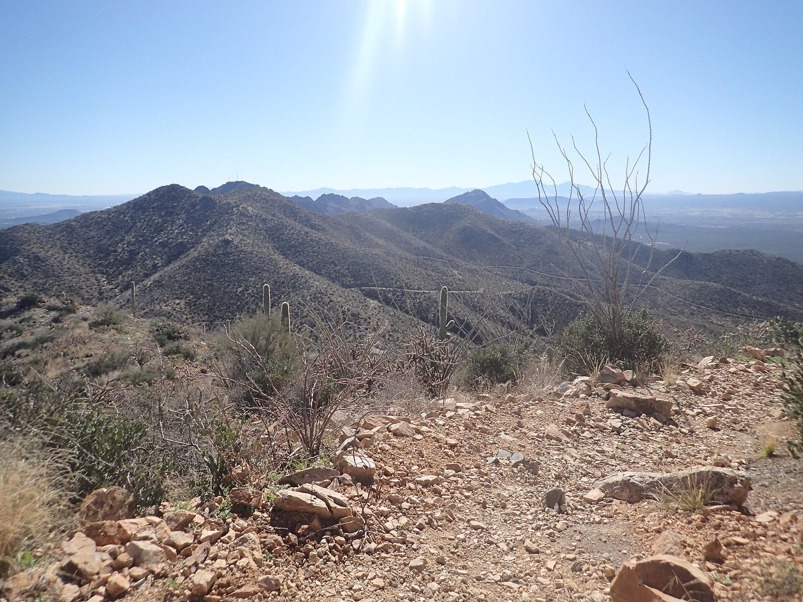 Wasson Peak