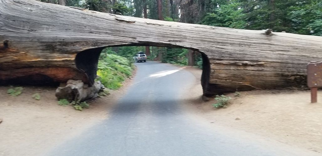 Tunnel Log
