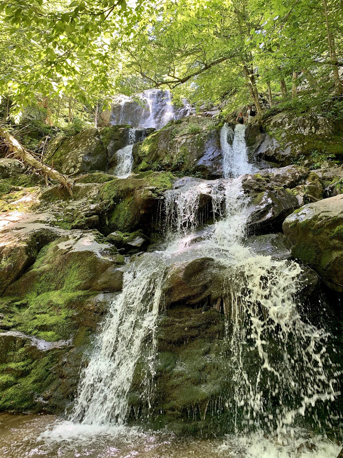 Dark Hollow Falls