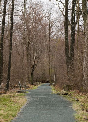 Limberlost Trail