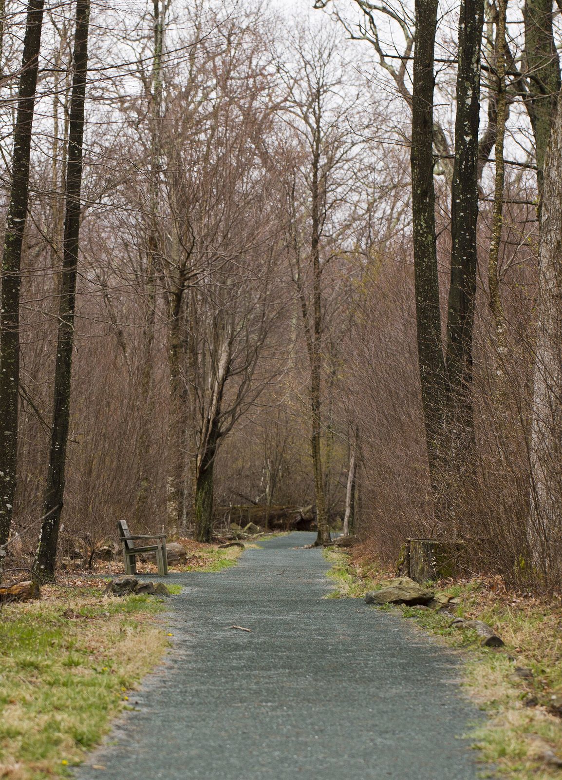 Limberlost Trail