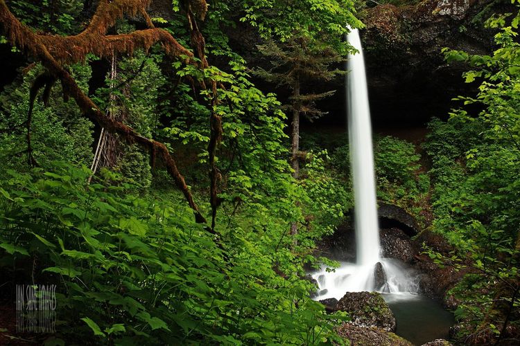 North Falls