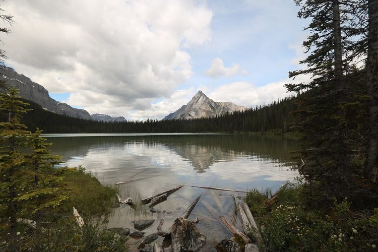 Watridge Lake