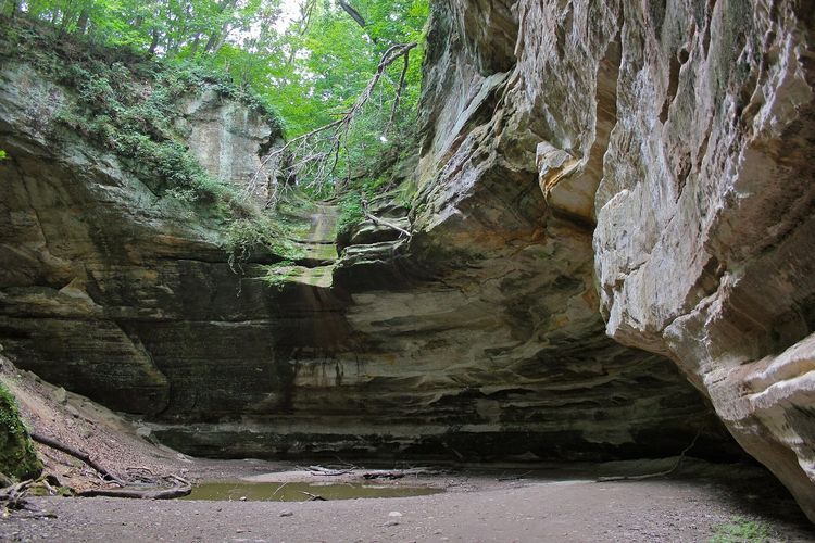 Council Overhang