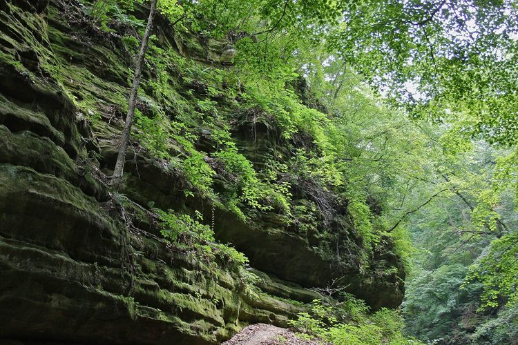 Illinois Canyon