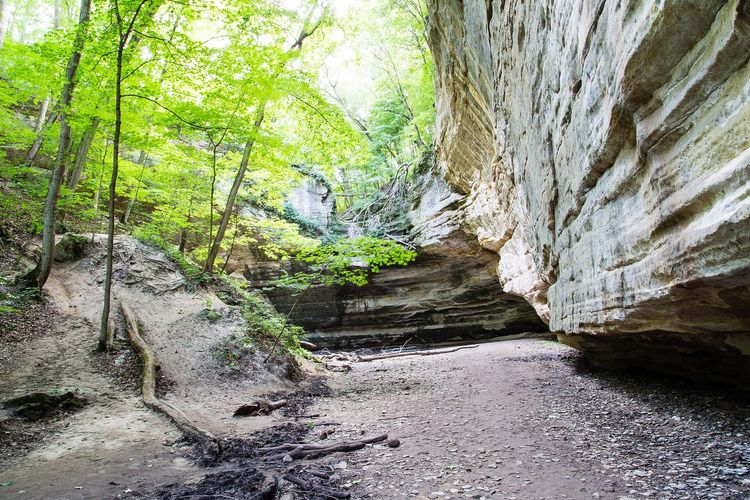 Ottawa Canyon