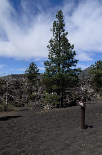 Lava Flow Trail
