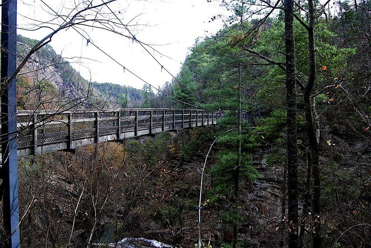 Suspension Bridge