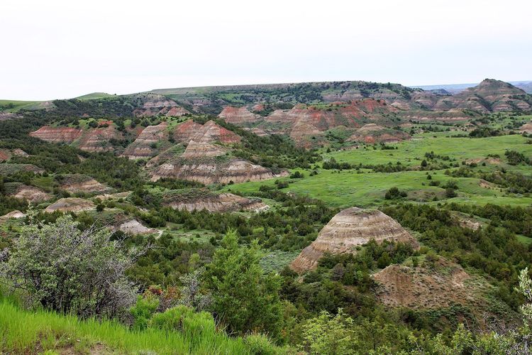 Painted Canyon Trail