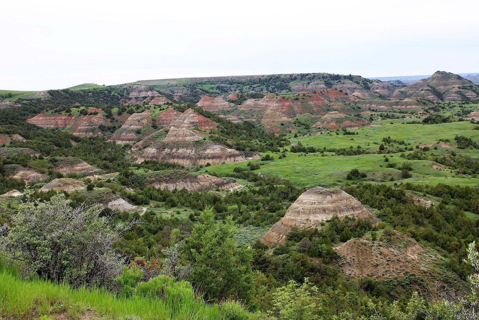 Painted Canyon Trail