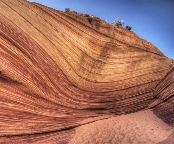 The Wave