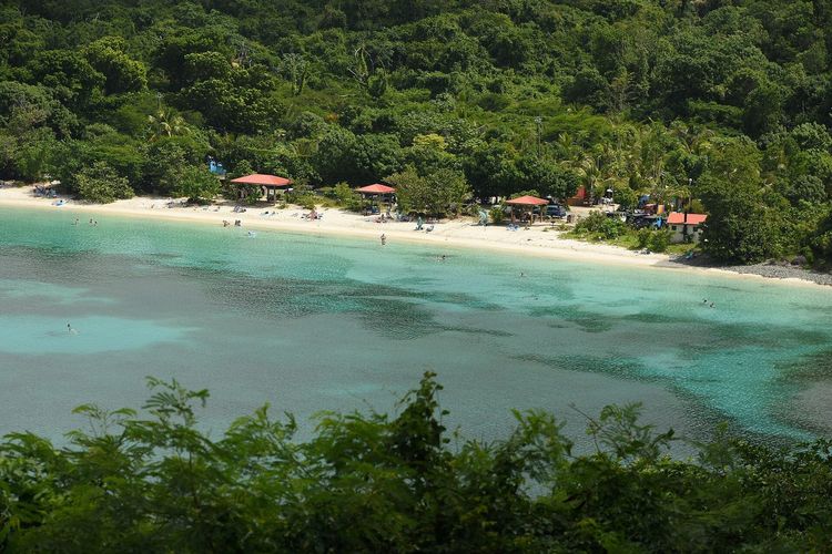 Maho Bay Beach