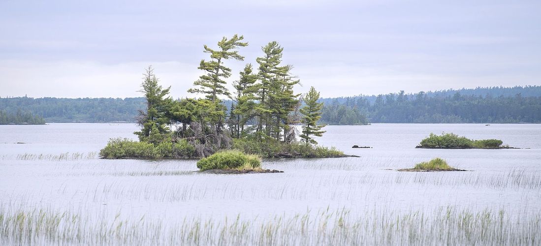 Rainy Lake
