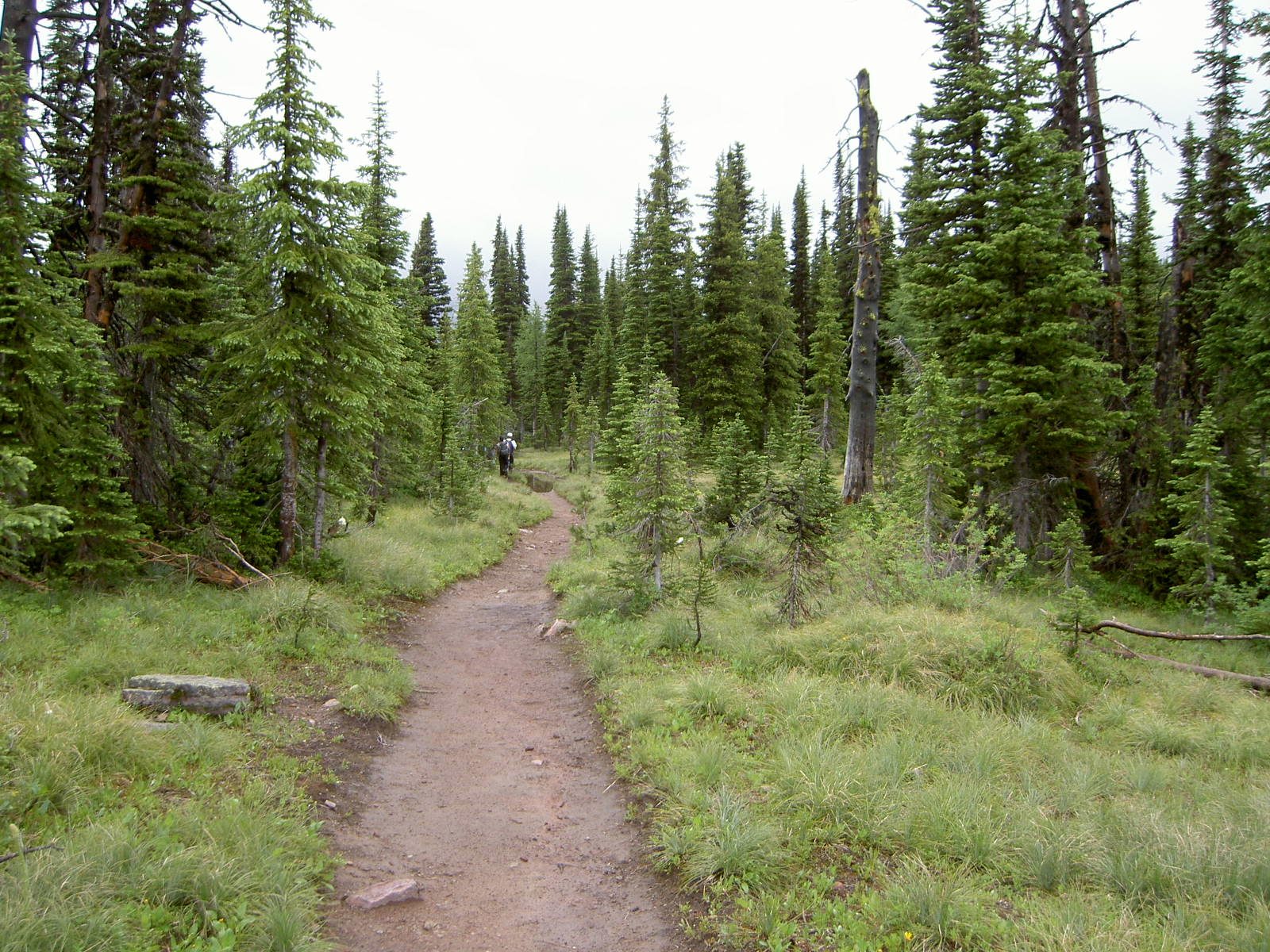 Carthew-Alderson Trail
