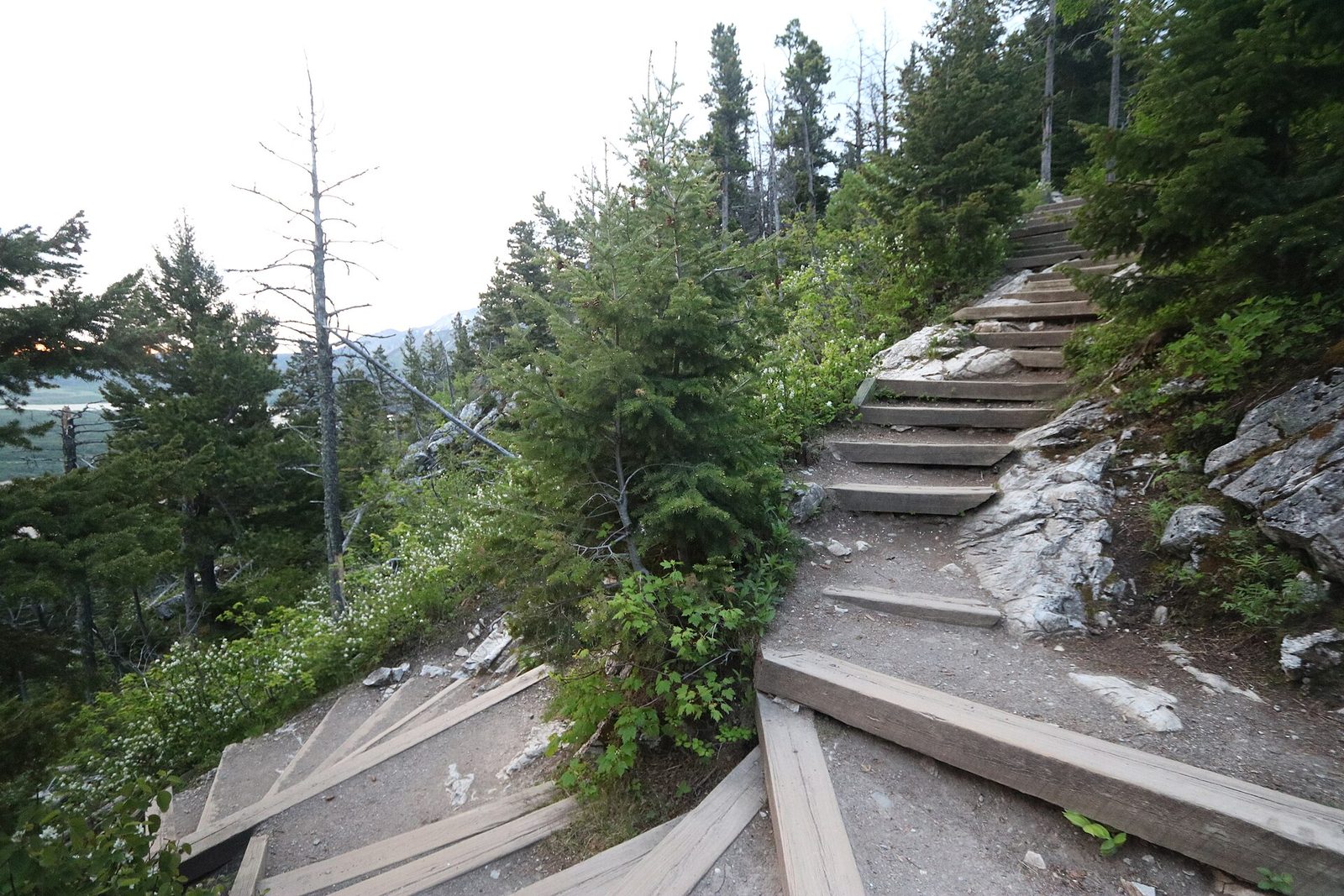 Bear's Hump