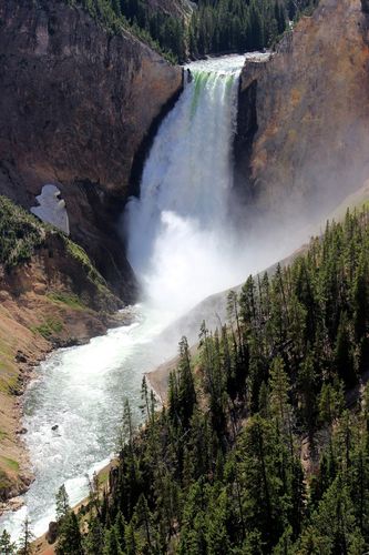 Lower Yellowstone Falls