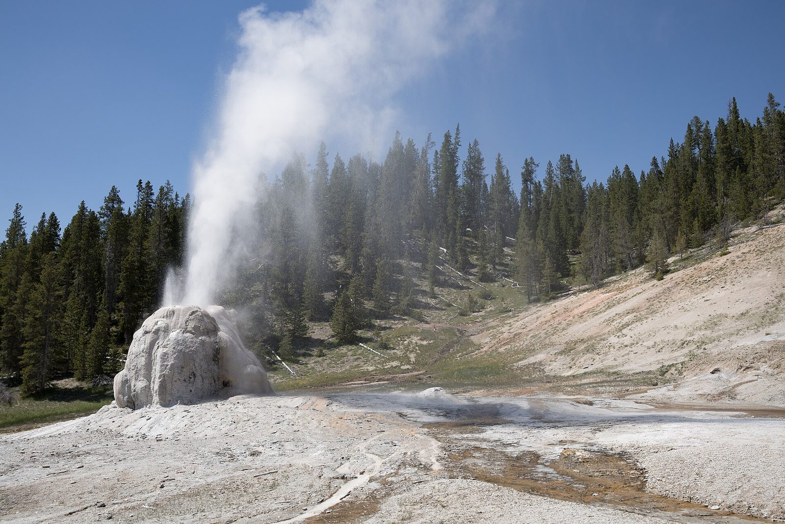 Lone Star Geyser