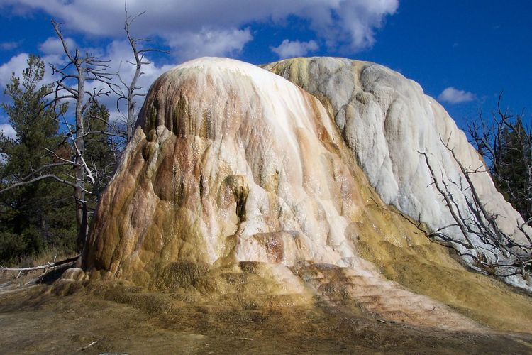 Mammoth Hot Springs