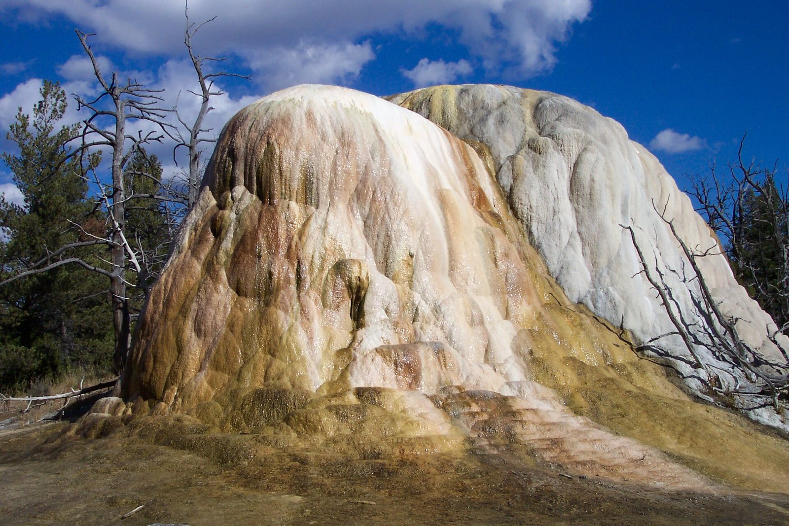 Mammoth Hot Springs