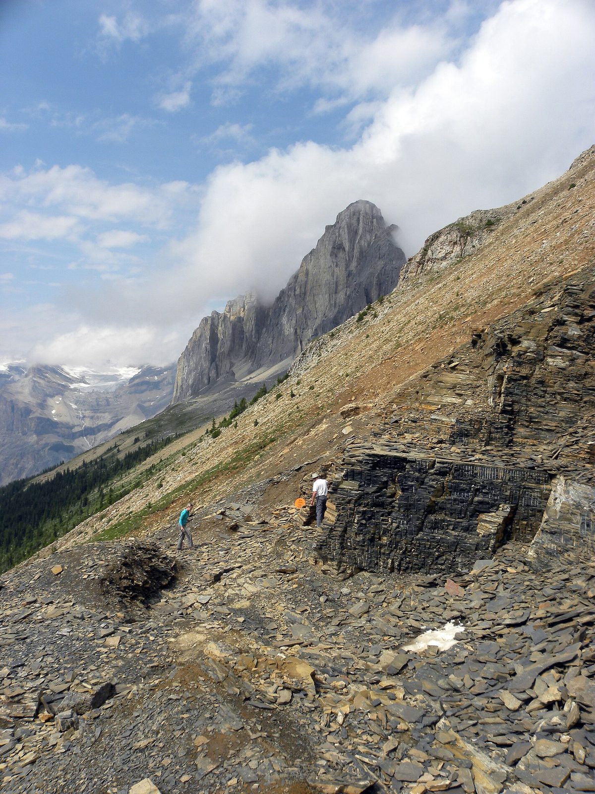 Burgess Shale (Walcott Quarry)