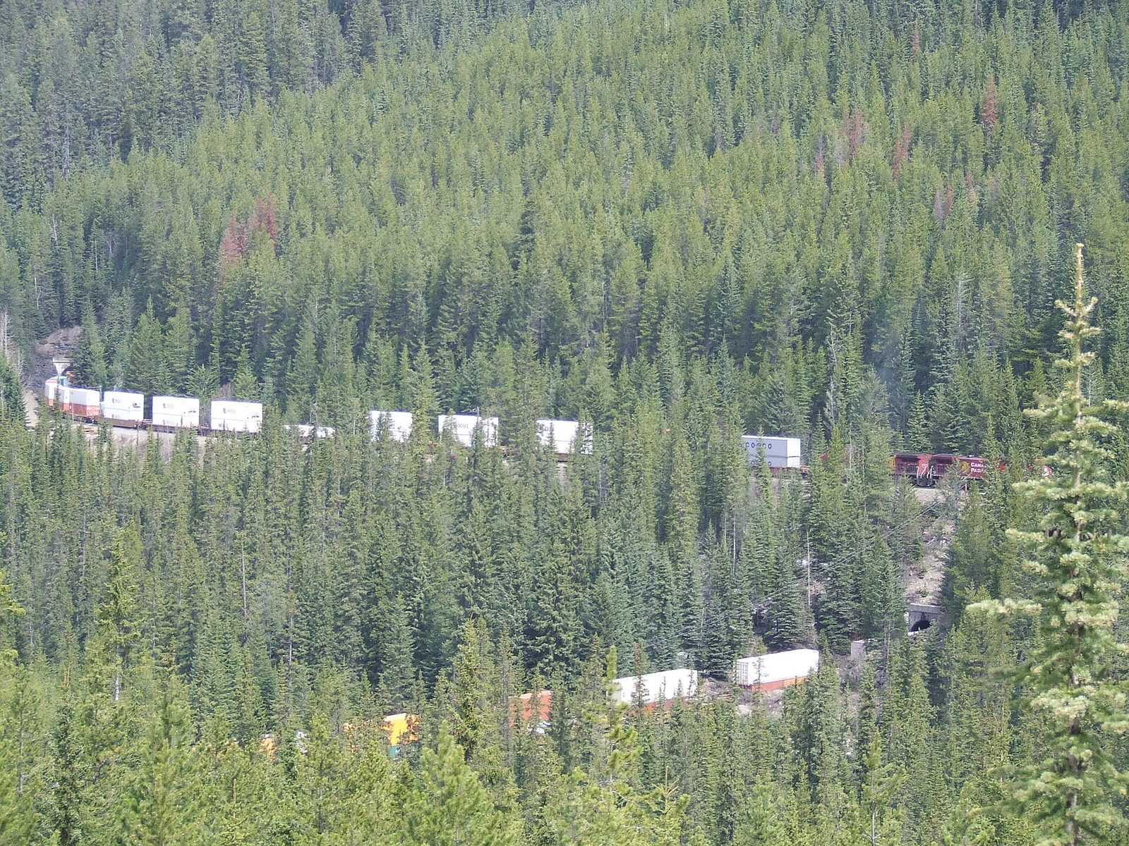 Spiral Tunnel Viewpoint (Lower tunnel)