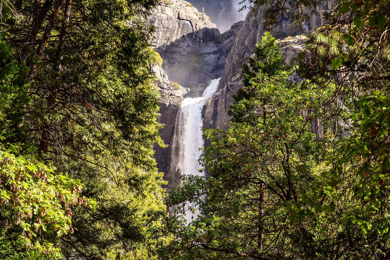 Lower Yosemite Fall