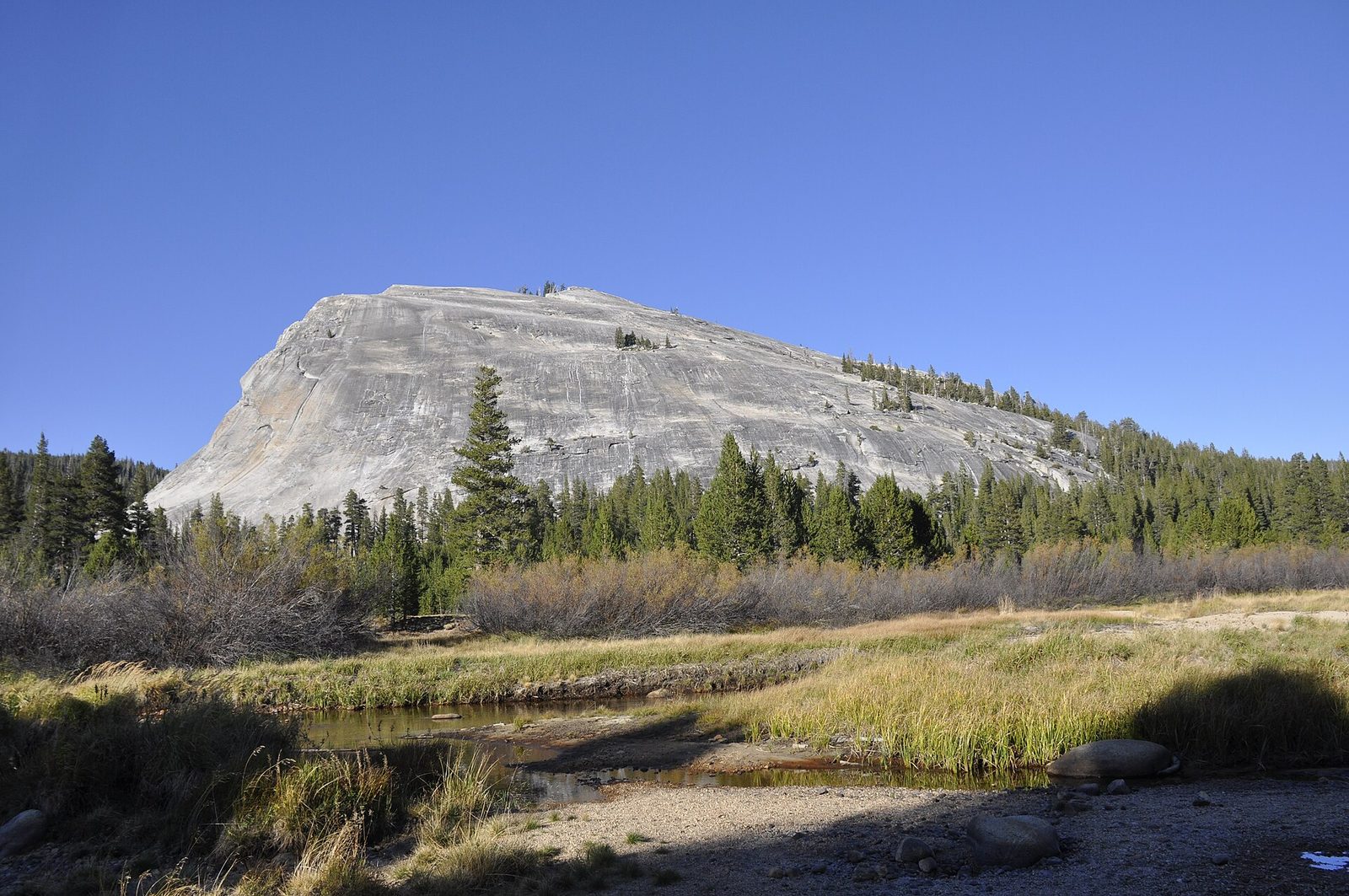 Tuolumne Meadows