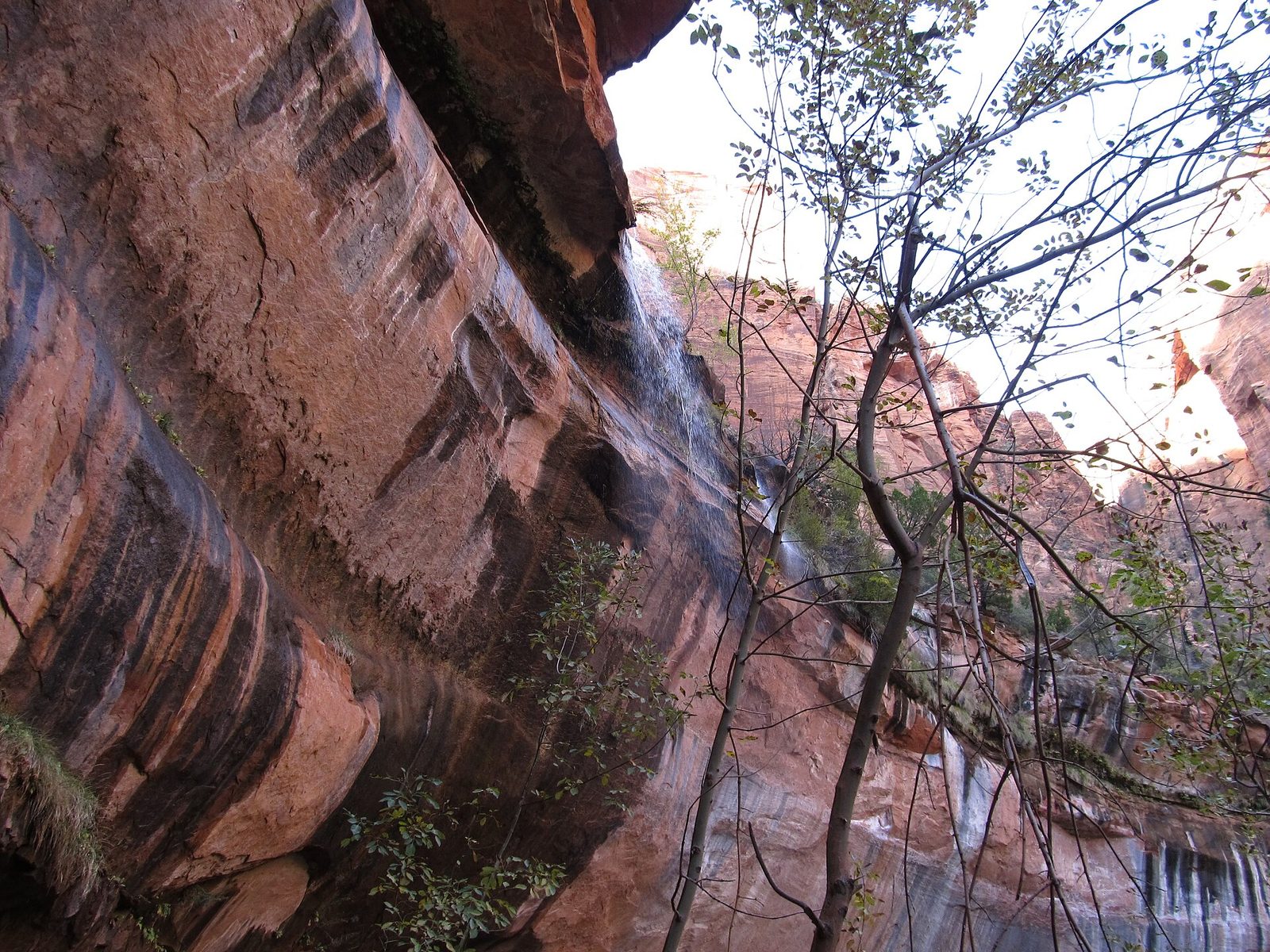 Lower Emerald Pool