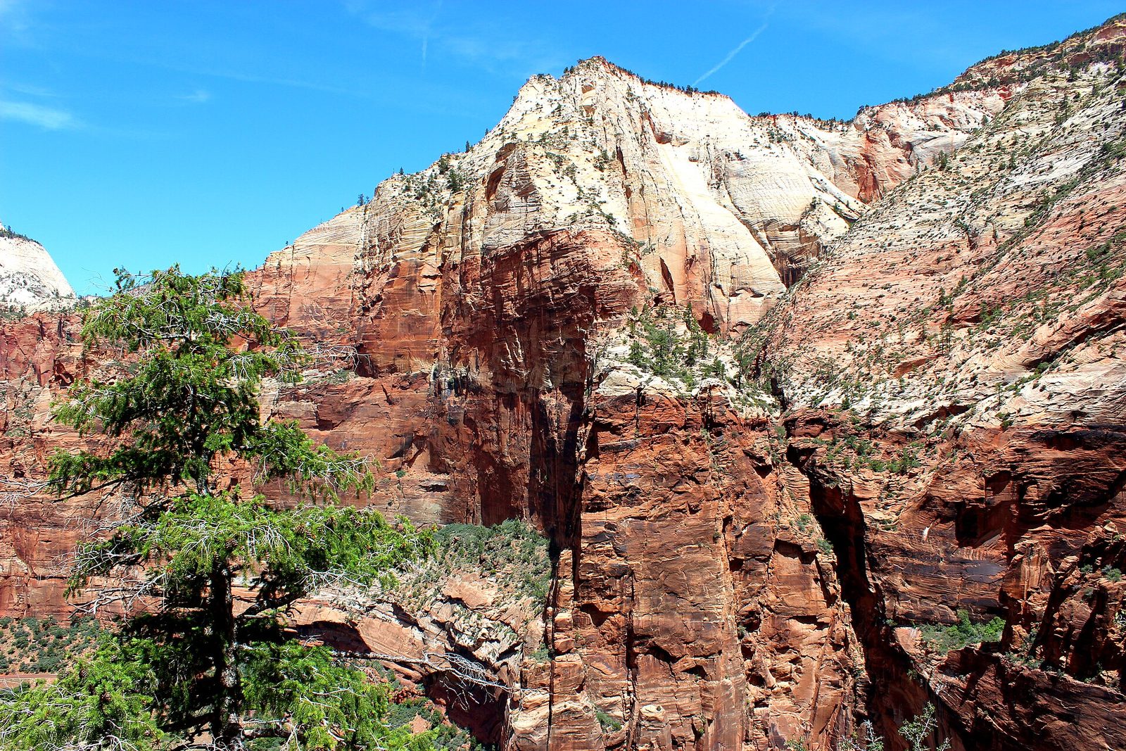 Observation Point