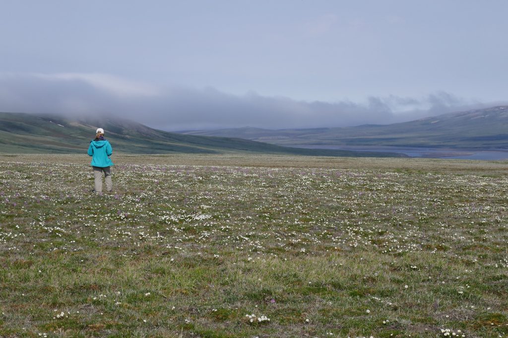 Aulavik National Park