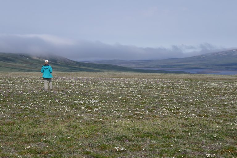 Aulavik National Park