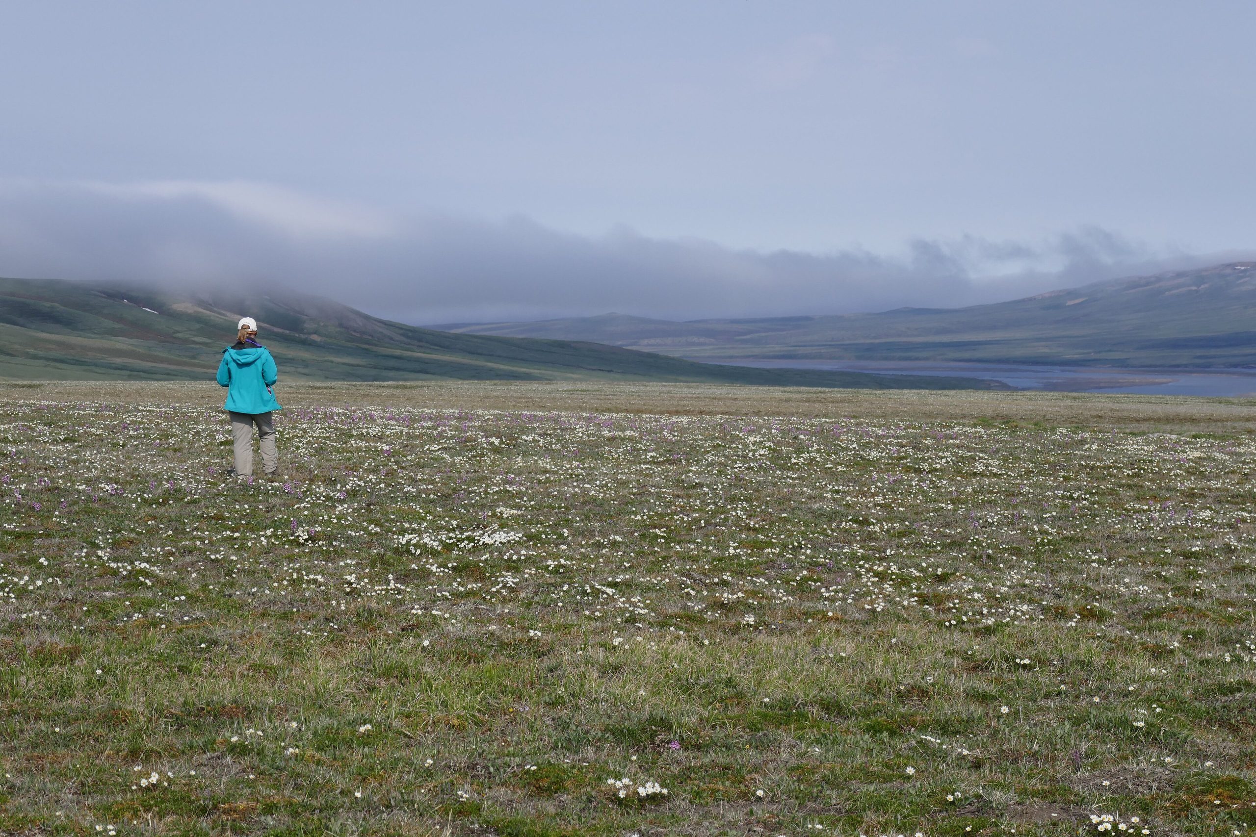 Aulavik National Park