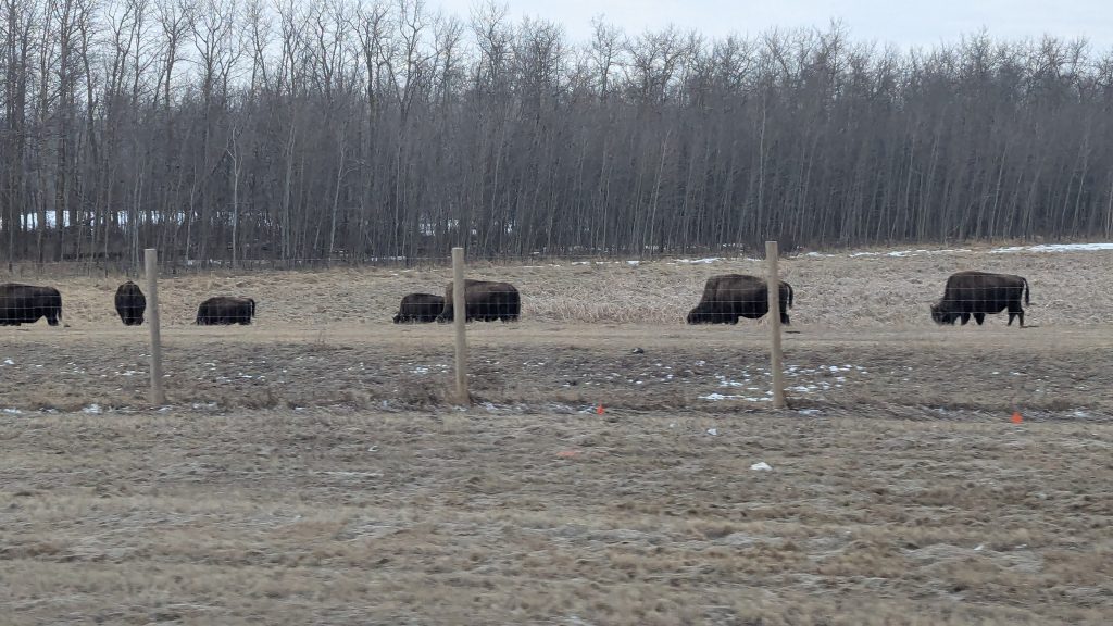 Elk Island National Park