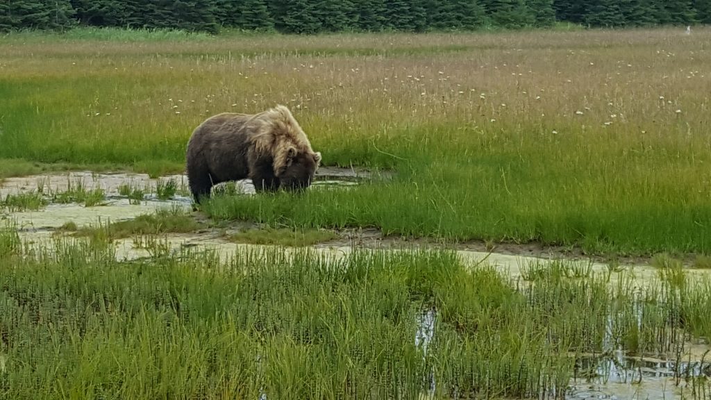 Lake Clark National Park