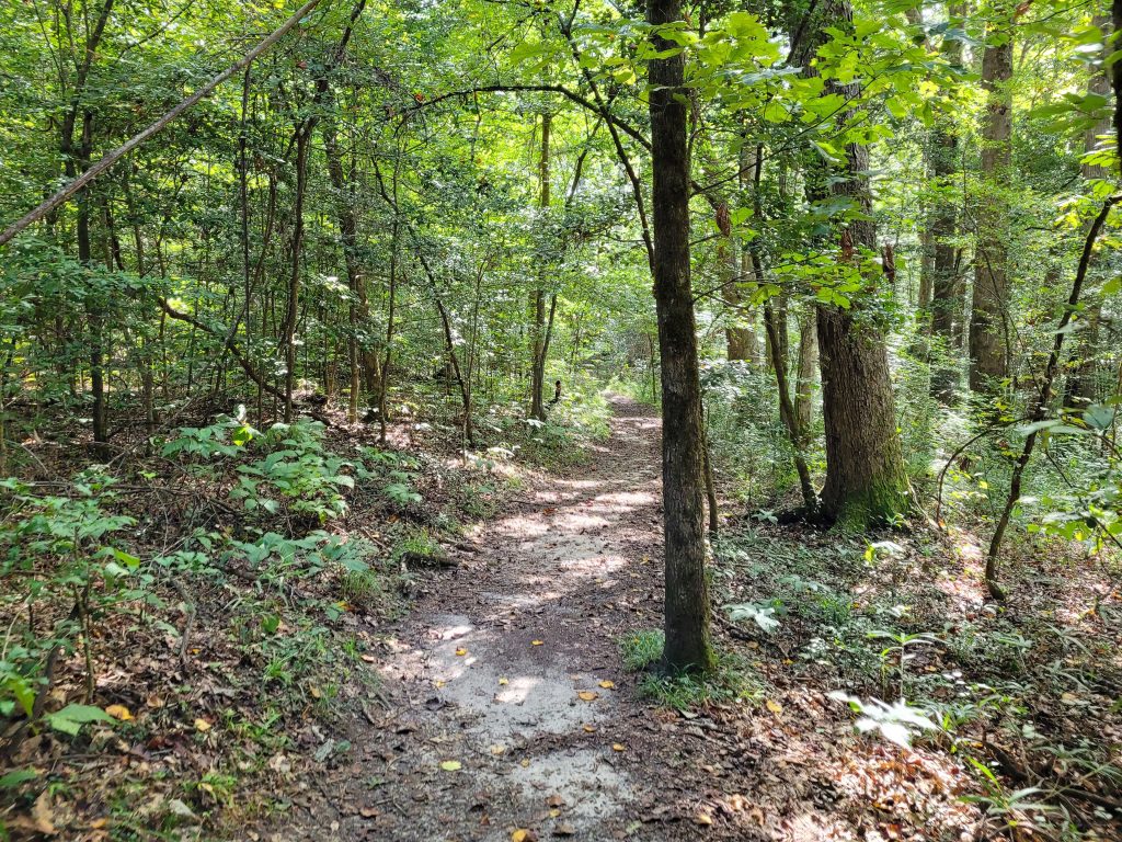 Congaree National Park
