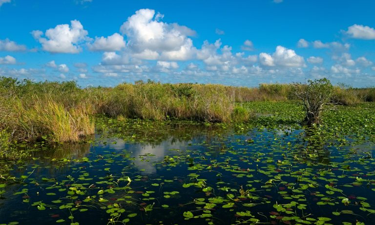 Everglades National Park
