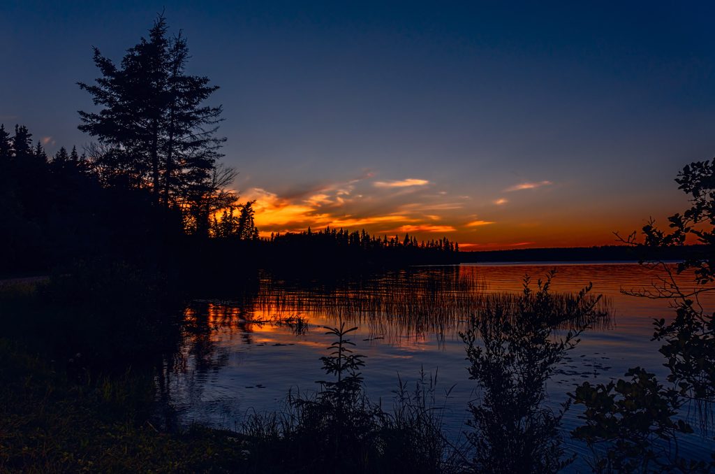 Prince Albert National Park