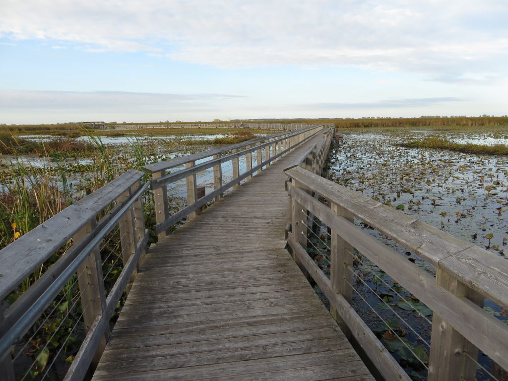 Point Pelee National Park