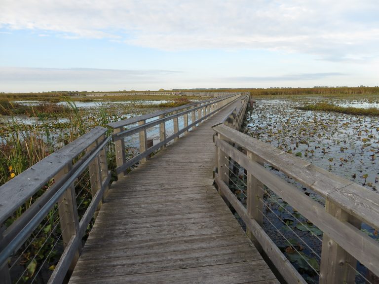 Point Pelee National Park