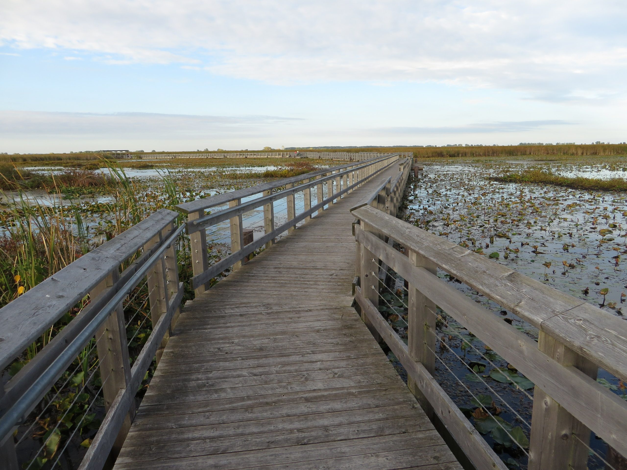 Point Pelee National Park