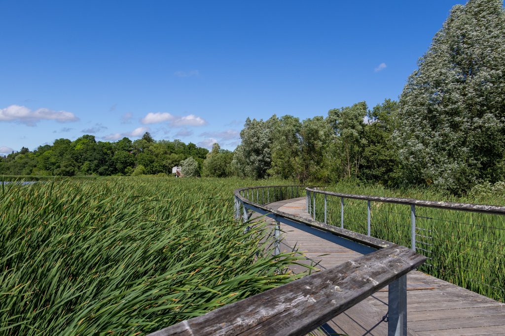 Rouge National Urban Park