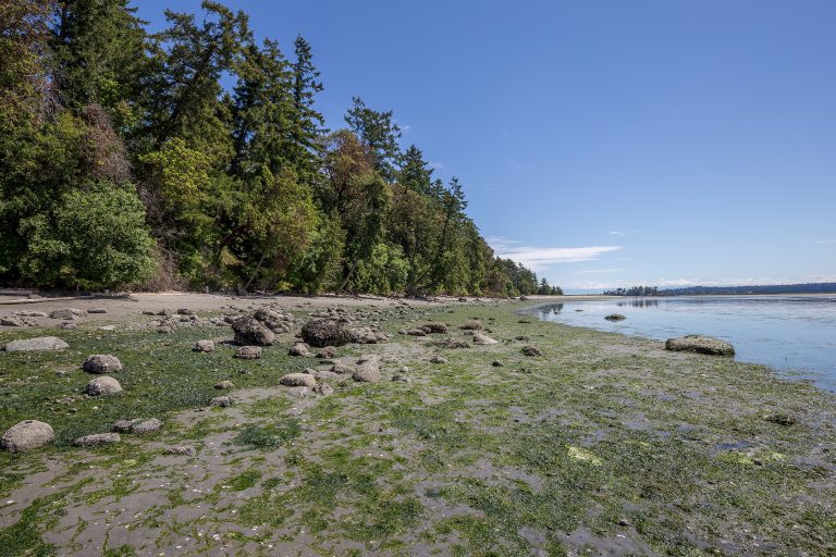 Gulf Islands National Park Reserve