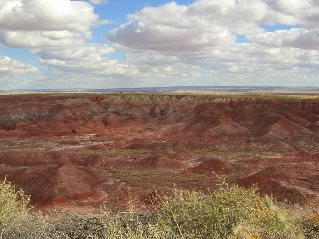 Petrified Forest National Park